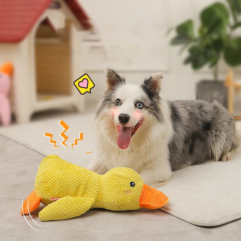 Dog Playing Duck Toy Duck Active Sounding