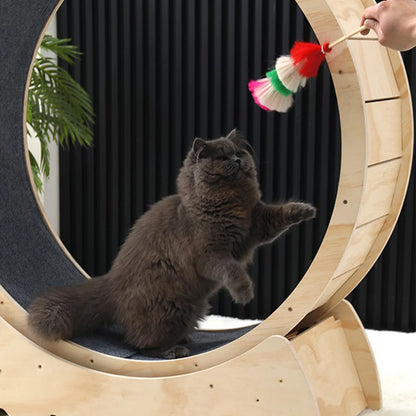 Wooden Cat Running Wheel