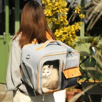 Super Cute Travel Cat Carrier Bag