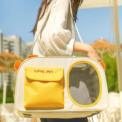 Portable Foldable Breathable Designer Pet Carrier Bag