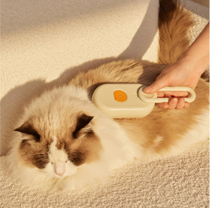 Pet Grooming Comb Spray Massage Comb