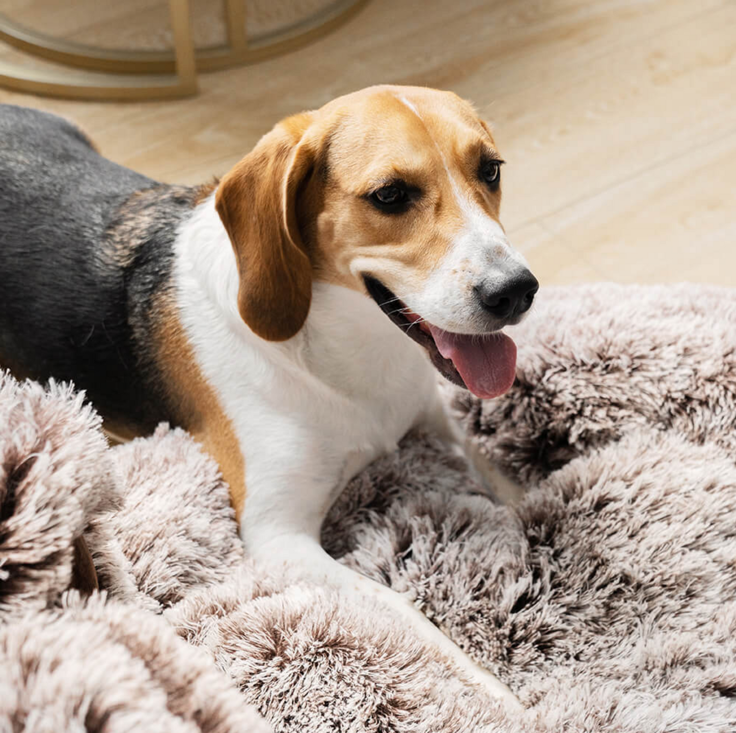 Large Round Dog Bed